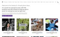 Build A Shopify Website