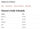 What the finished daily schedule looks like on my site
