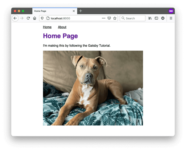 The home page of your site, which now includes a picture of a dog.