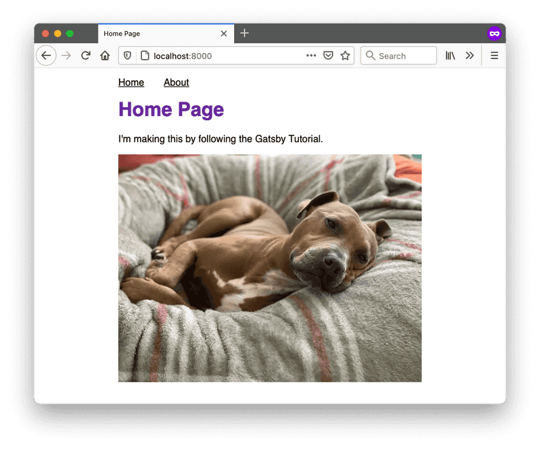 The home page of your site, which includes a different picture of a dog.